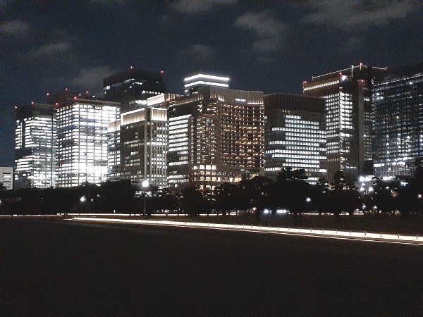 皇居二重橋等のライトアップ 暗がりに浮かび上がる旧江戸城の遺構 ひとりで東京歴史めぐり